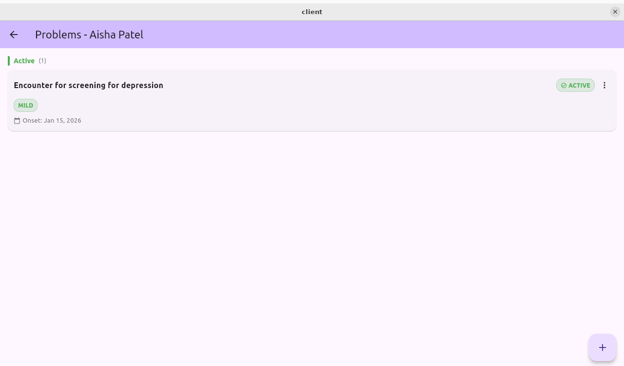 LuminaEHR Problem List - ICD-10 coded conditions with severity